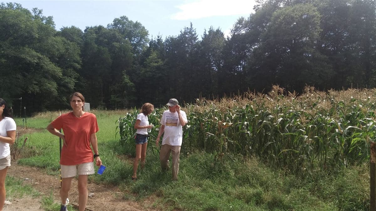 Williams Family Reunion 2016 96