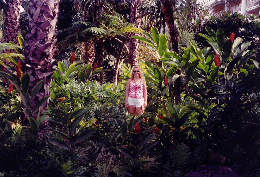 Lisa among the trees in Maui